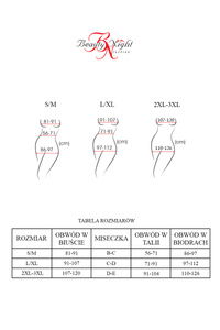 Beauty Night Dark Magnet – body wetlook i rajstopy kabaretki