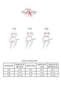 Beauty Night Elaris – koronkowe body teddy z paseczkami